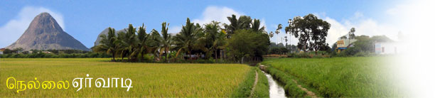 NellaiEruvadi.com
