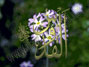 He who is free from all errors.