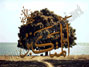 He who demonstrates His greatness in all things and in all ways