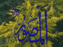He who designs all things, giving each its particular form and character (Sculptor).