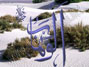 He who constantly bestows blessings of every kind.